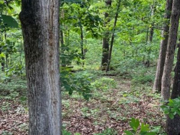 St Ives Circle , Bella Vista, AR 72714