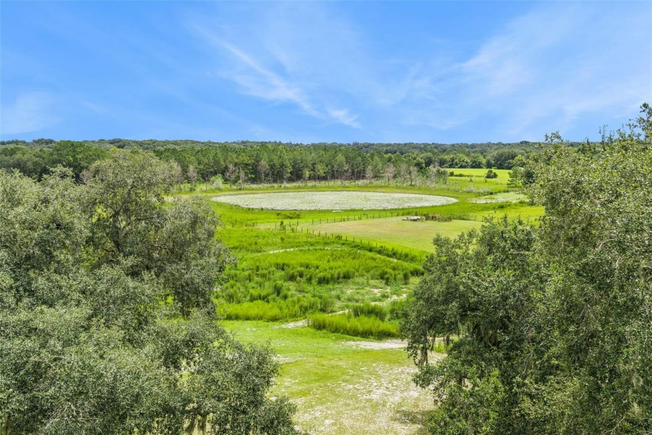 1476 Spring Lake Road, Fruitland Park, FL 34731 Photo