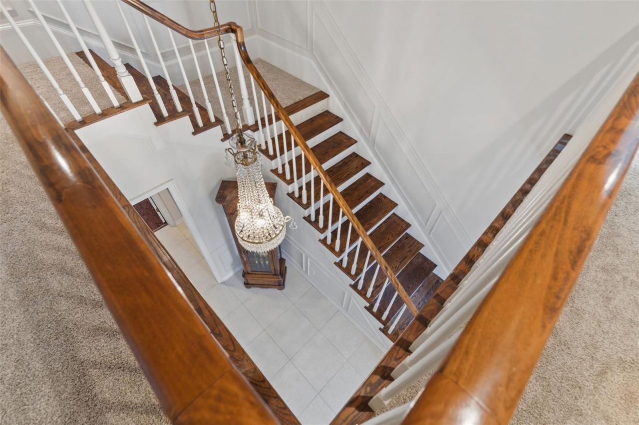 4603 Dogwood Hills Court, Brandon, FL 33511 Photo