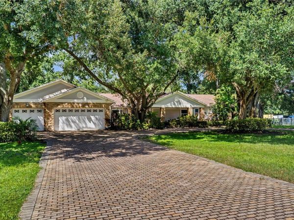 12511 PALOMINO COURT , TAMPA, FL 33626