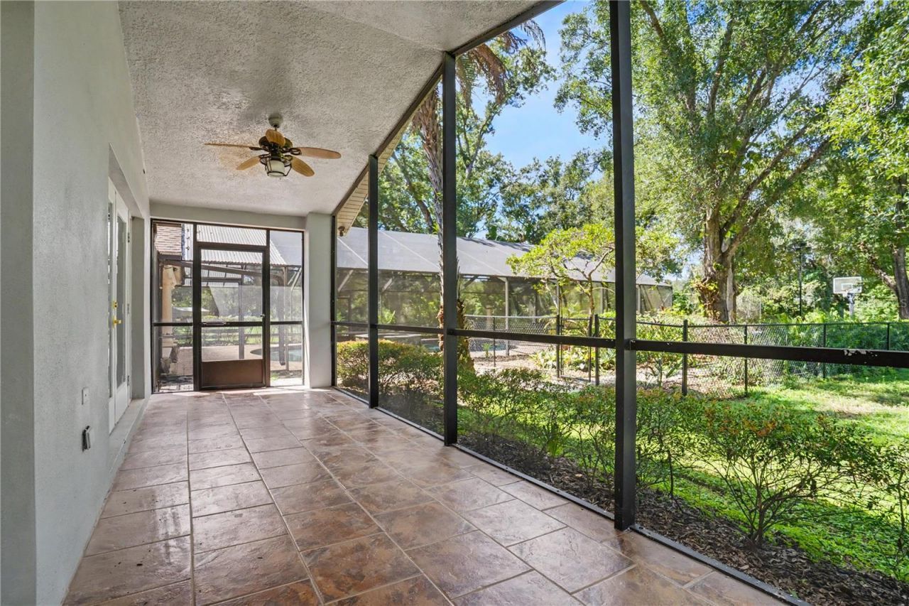 12511 Palomino Court, Tampa, FL 33626 Photo