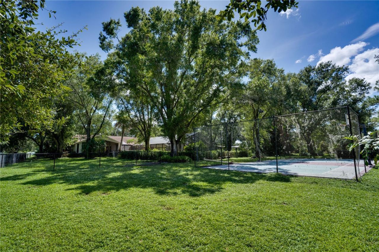12511 Palomino Court, Tampa, FL 33626 Photo