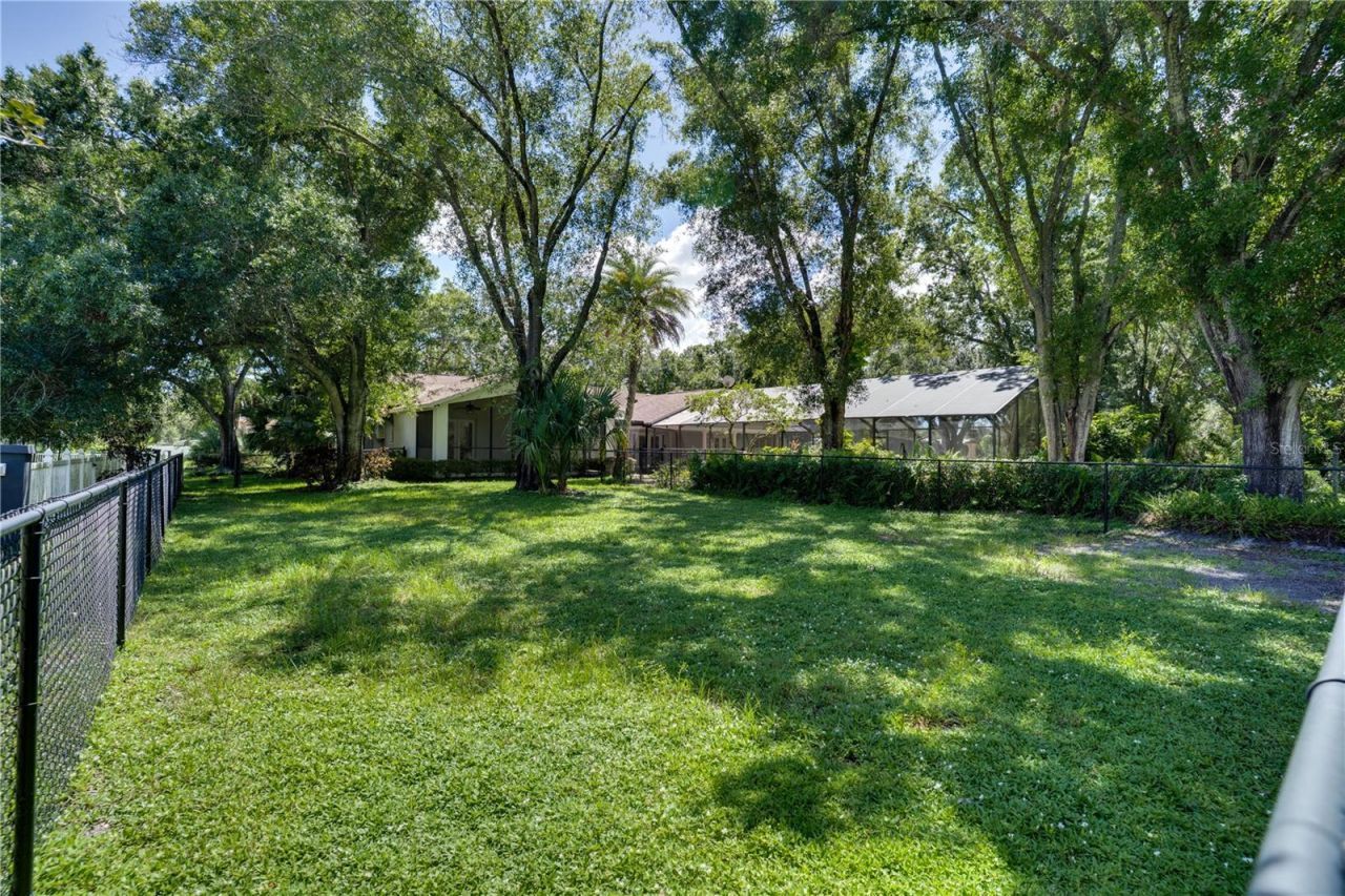 12511 Palomino Court, Tampa, FL 33626 Photo