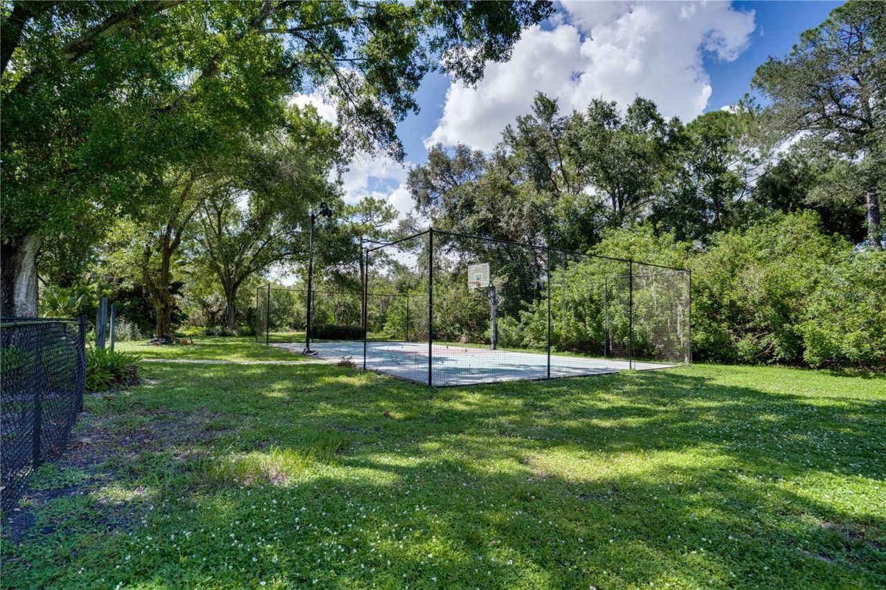 12511 Palomino Court, Tampa, FL 33626 Photo