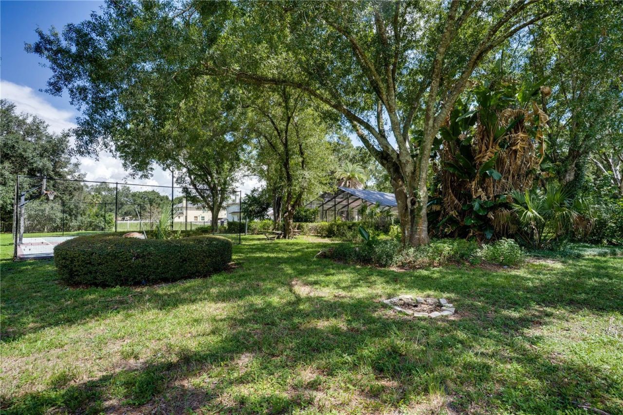 12511 Palomino Court, Tampa, FL 33626 Photo