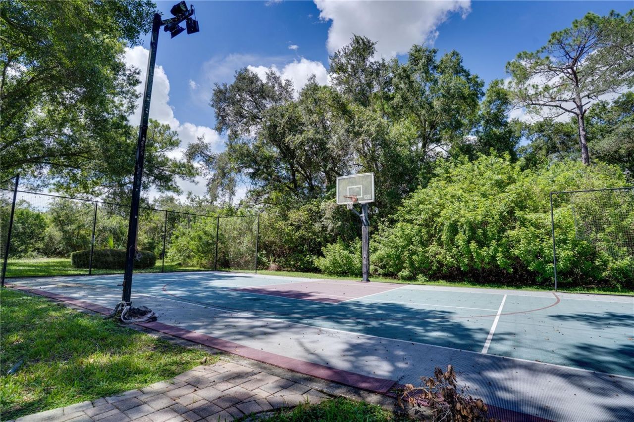 12511 Palomino Court, Tampa, FL 33626 Photo