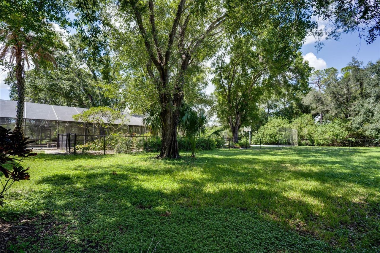 12511 Palomino Court, Tampa, FL 33626 Photo