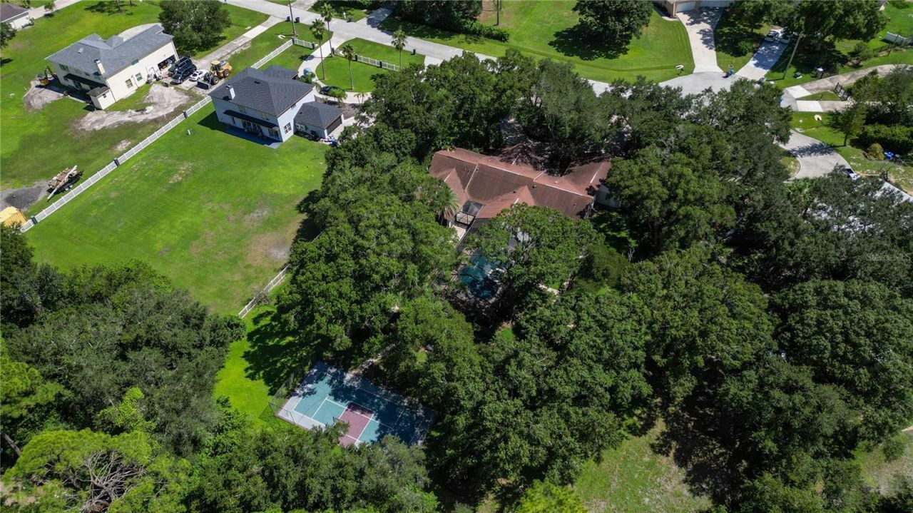 12511 Palomino Court, Tampa, FL 33626 Photo