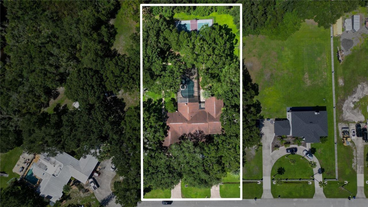 12511 Palomino Court, Tampa, FL 33626 Photo