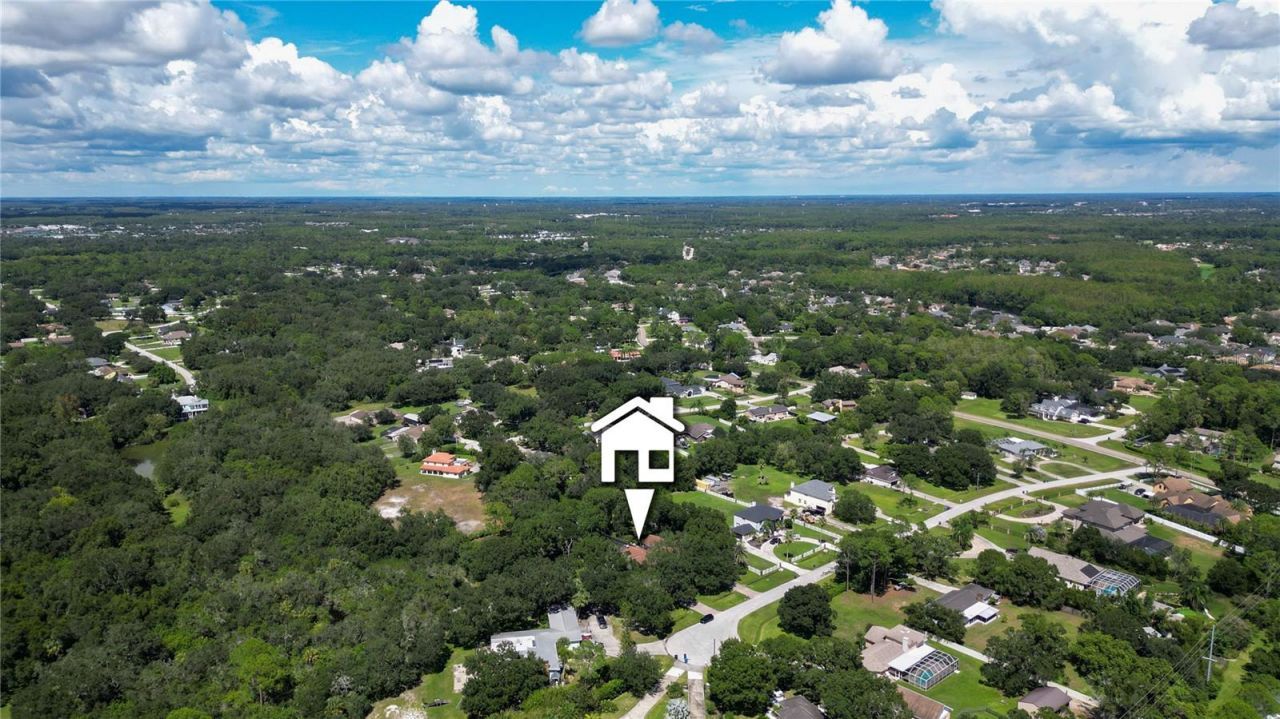 12511 Palomino Court, Tampa, FL 33626 Photo