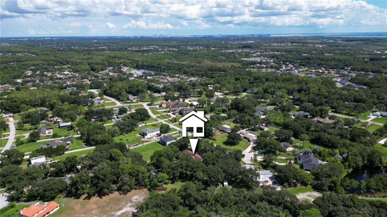 12511 Palomino Court, Tampa, FL 33626 Photo