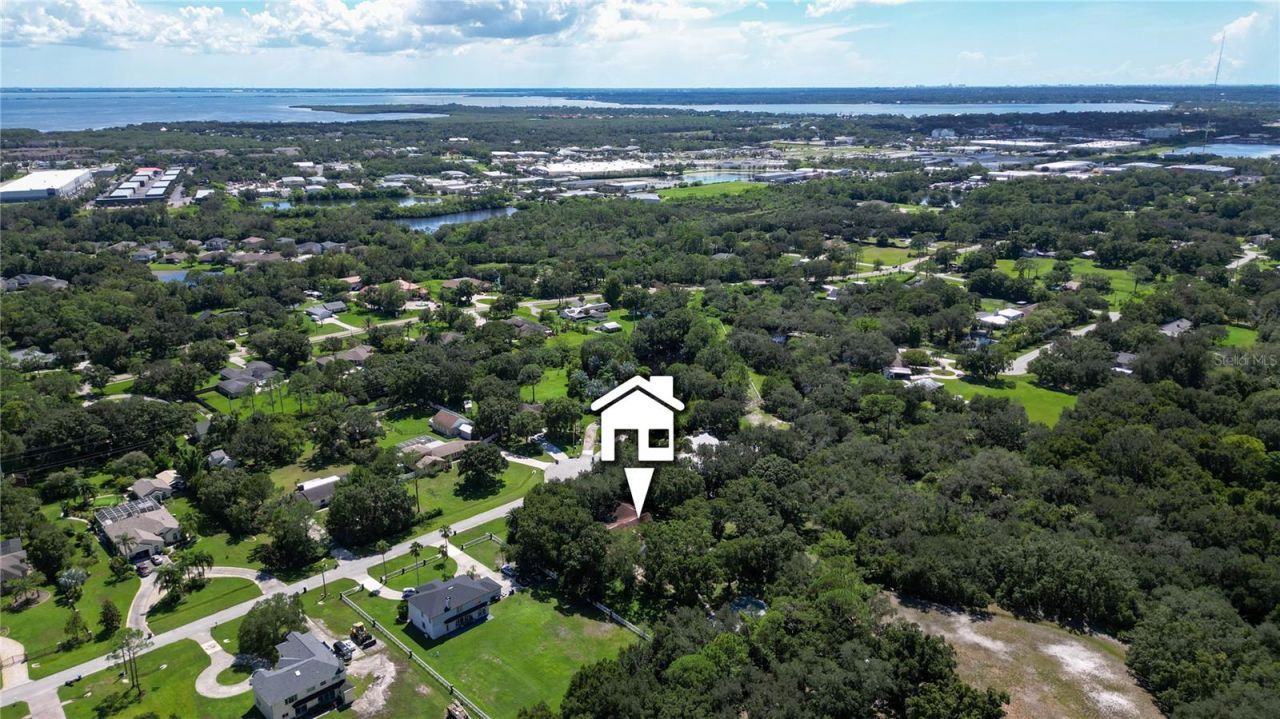 12511 Palomino Court, Tampa, FL 33626 Photo