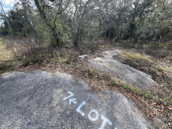 LOT 7 HAYS RD , HUDSON, FL 34669