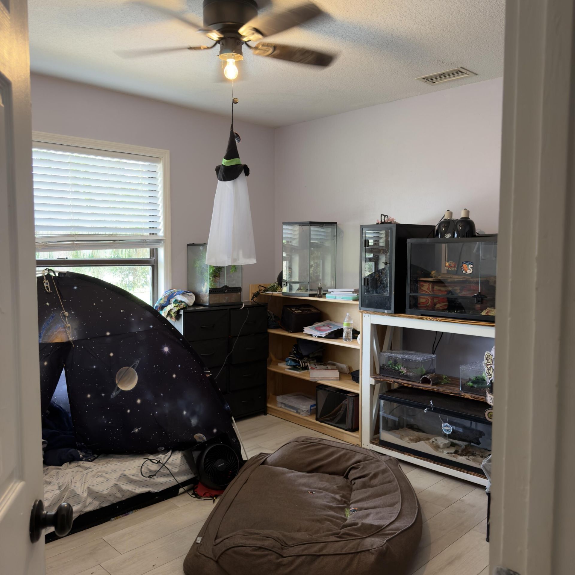 13398 46th Court N, The Acreage, FL 33411 Photo