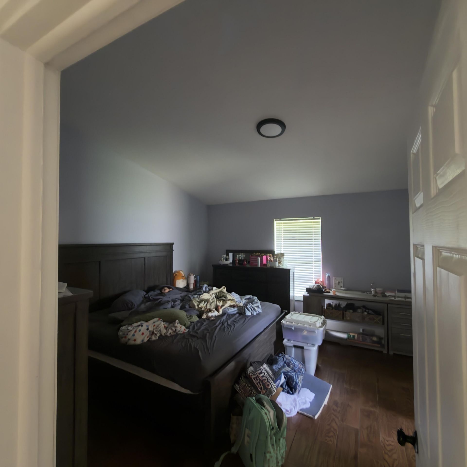 13398 46th Court N, The Acreage, FL 33411 Photo