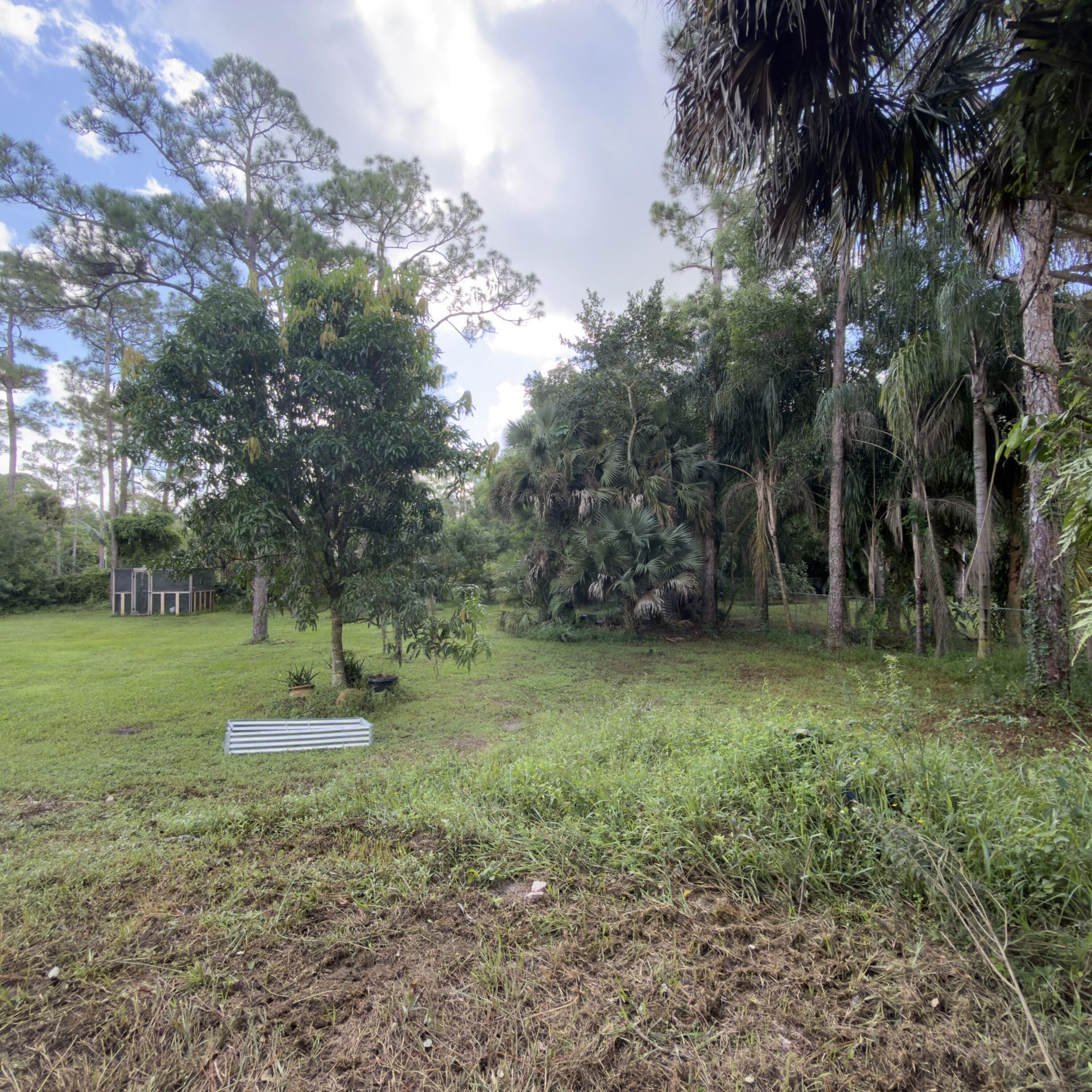 13398 46th Court N, The Acreage, FL 33411 Photo
