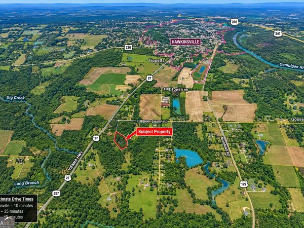 2.4 ACRES Flamingo Estate, Hawkinsville, GA 31036