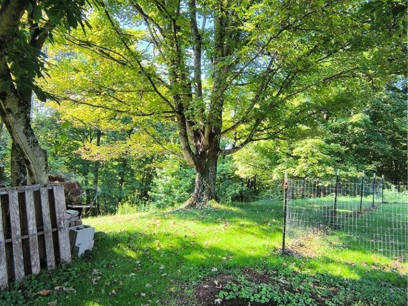 1380 Mount Tom Road, Marietta, OH 45750 Photo 9
