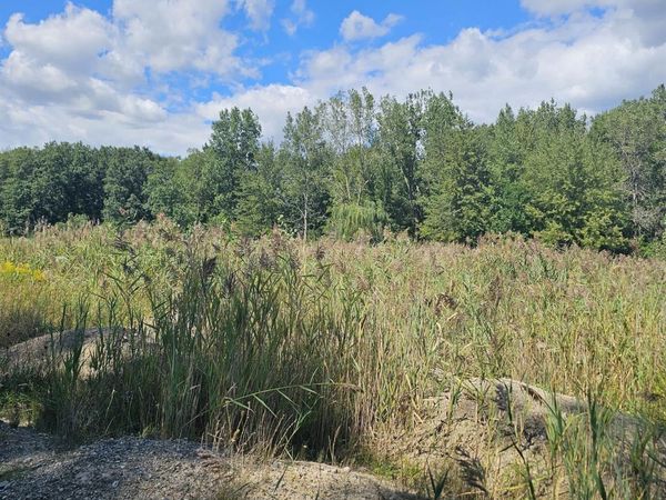19330 Gudith Road, Trenton, MI 00000