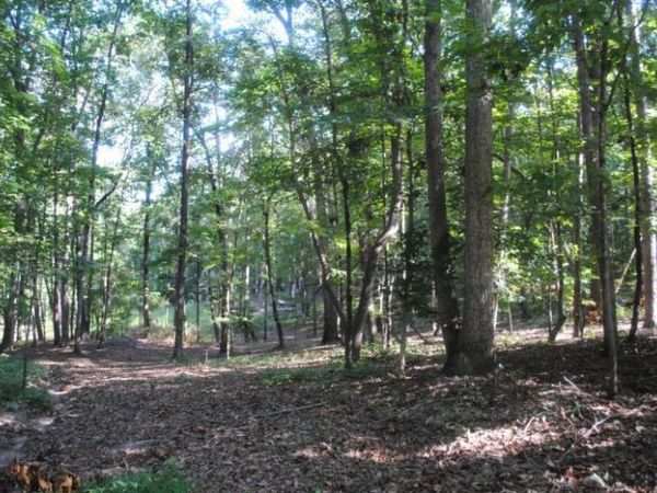 249 N Ridge Drive, LaFayette, GA 30728