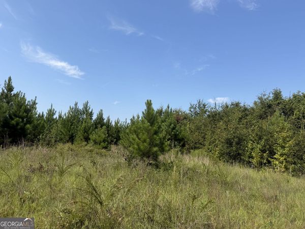 005 Long Branch Road, Toomsboro, GA 31090