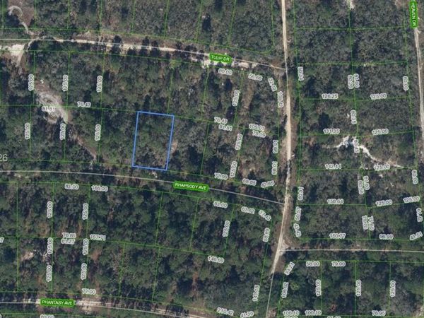 280 Rhapsody Ave , Lake Placid, FL 33852