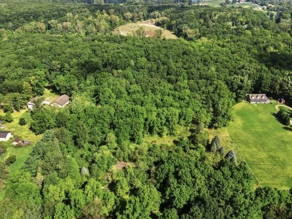 19200 Stonefield Drive, Manchester, MI 48158