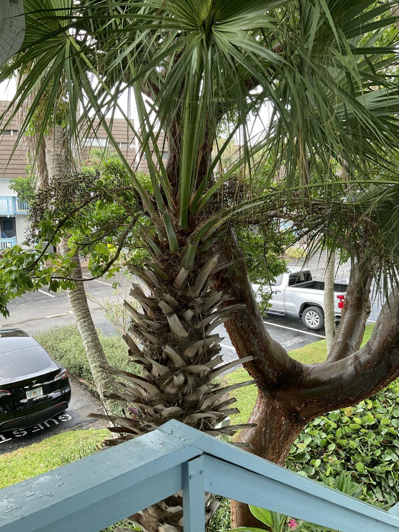 11000 S Ocean Drive, Unit 2-9, Jensen Beach, FL 34957 Photo