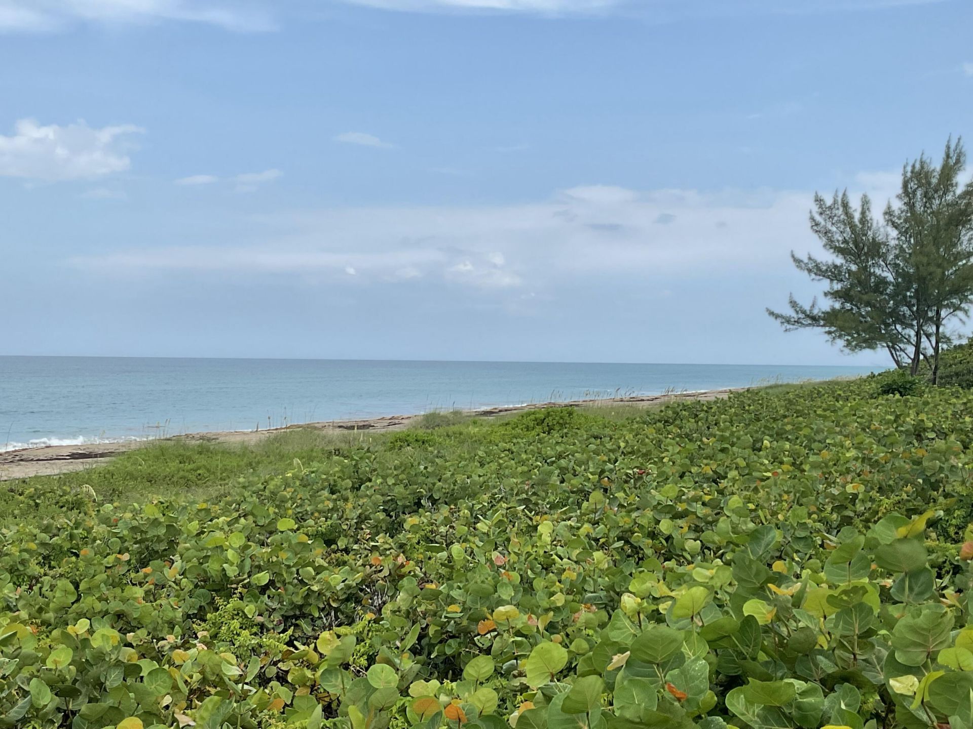 11000 S Ocean Drive, Unit 2-9, Jensen Beach, FL 34957 Photo