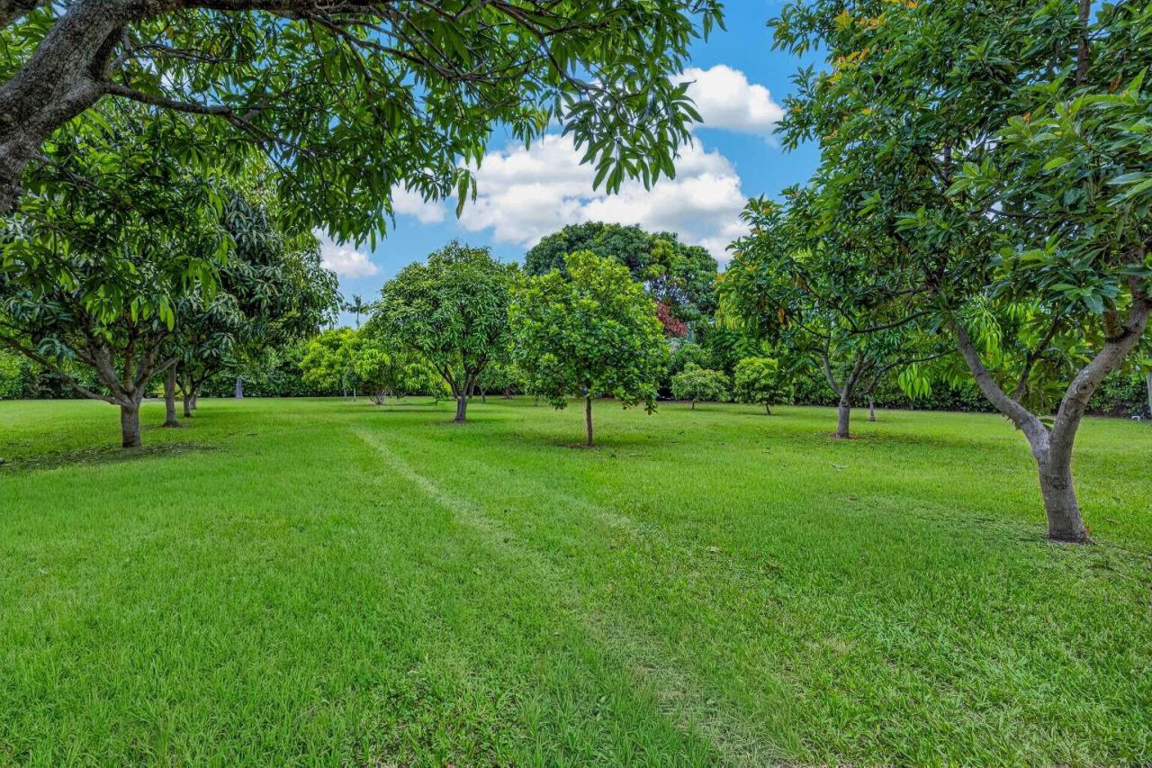 125 NE 146th Street, Miami, FL 33161 Photo