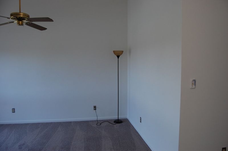 1100 Possum Trot Rd. Photo 7