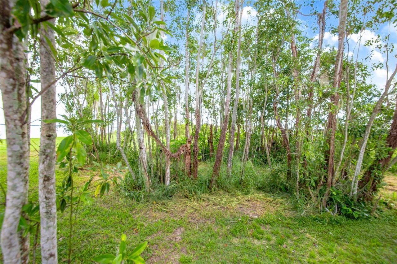 2427 Black Road, Fort Meade, FL 33841 Photo
