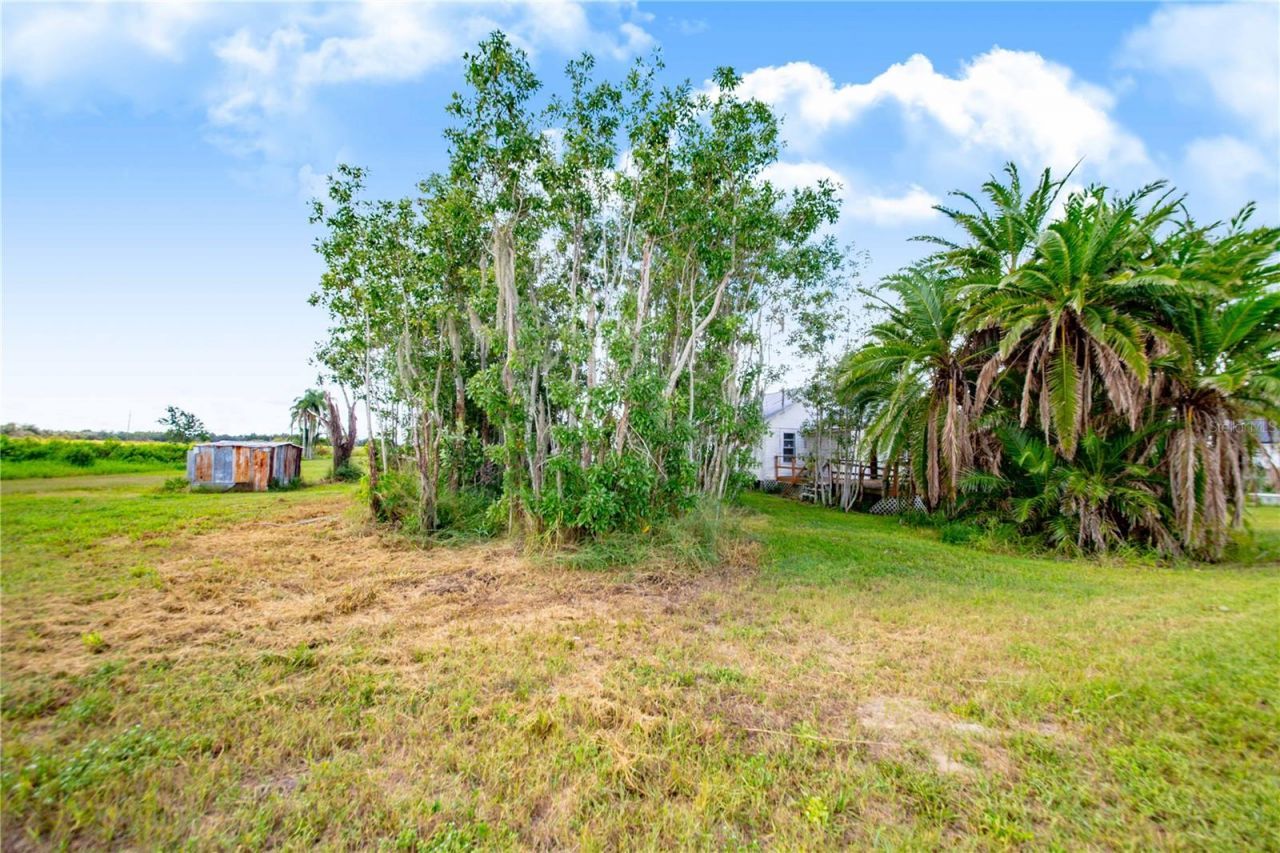 2427 Black Road, Fort Meade, FL 33841 Photo
