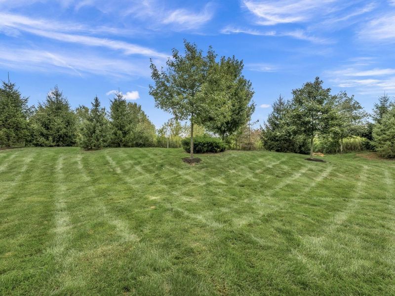 9372 Dewitt Drive, Plain City, OH 43064 Photo 48
