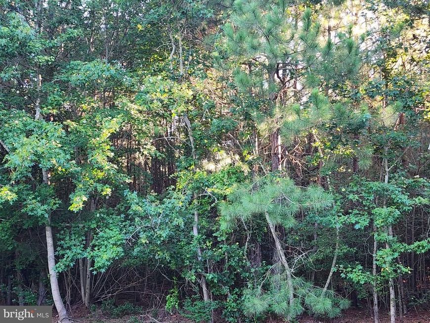 17025 Three Notch Road , Dameron, MD 20628 Main Photo