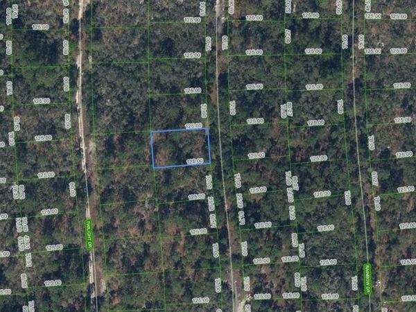 268 Blue Heaven Dr , Lake Placid, FL 33852