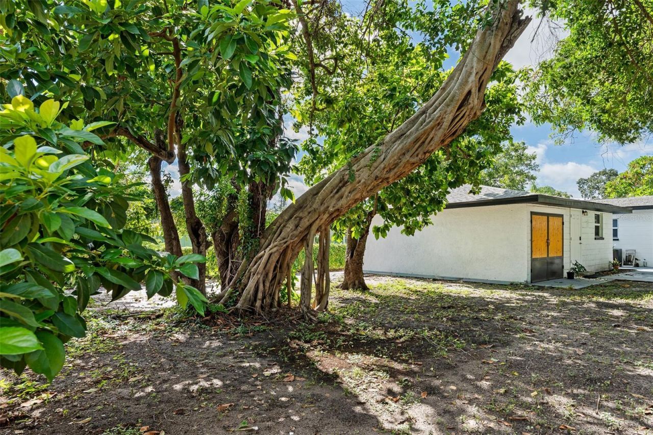 1835 15th Avenue S, Saint Petersburg, FL 33712 Photo