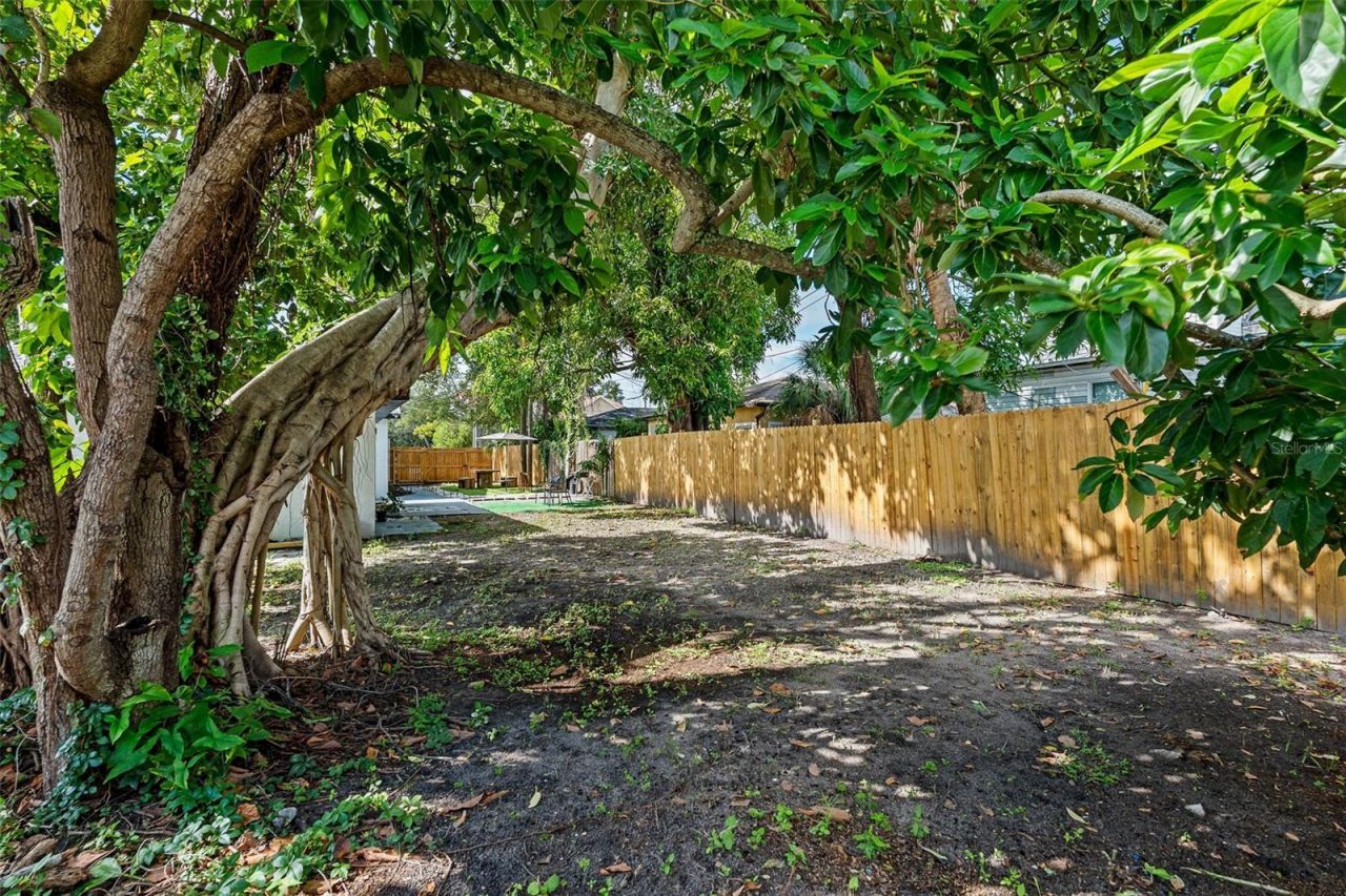 1835 15th Avenue S, Saint Petersburg, FL 33712 Photo