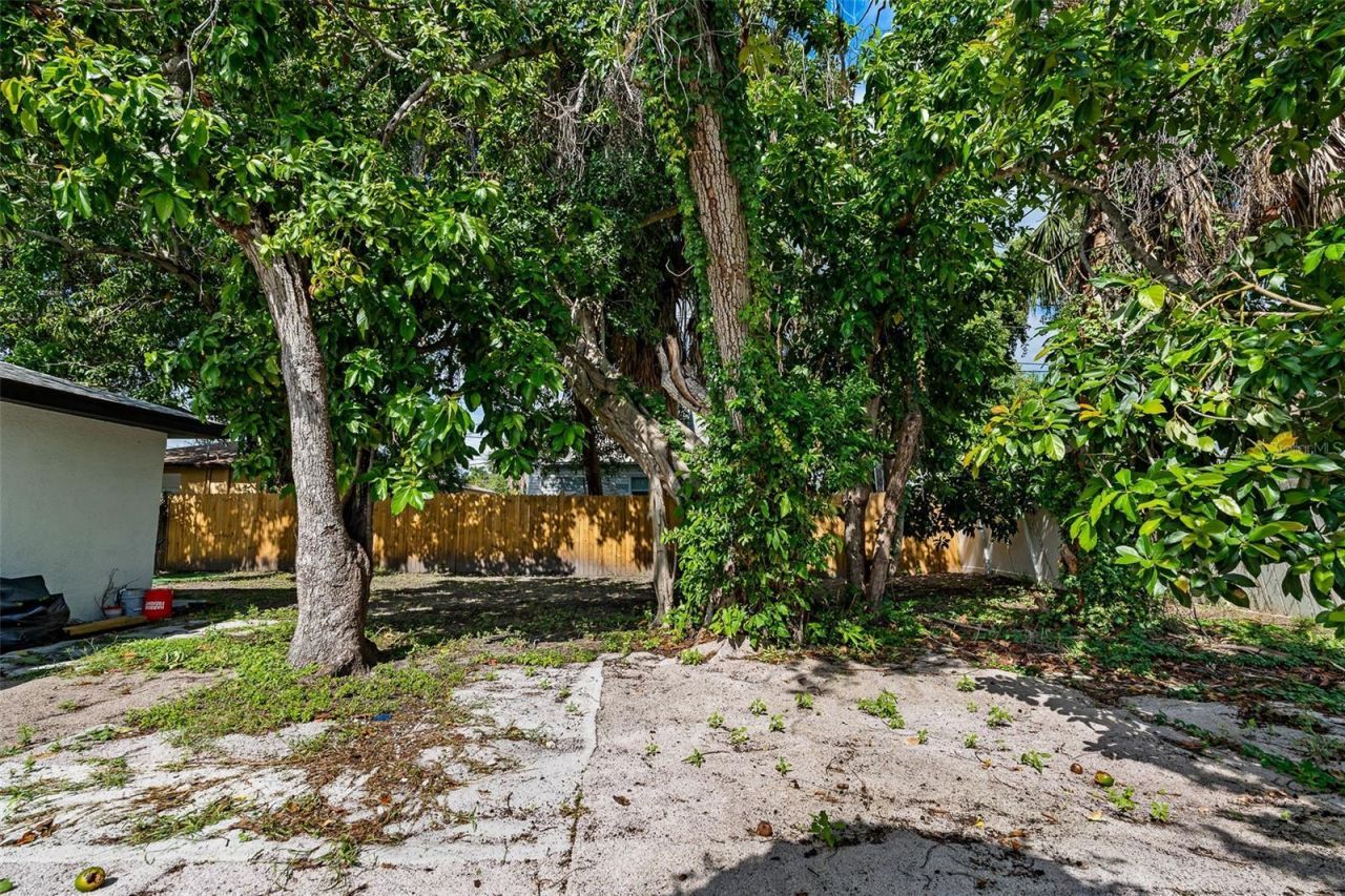 1835 15th Avenue S, Saint Petersburg, FL 33712 Photo