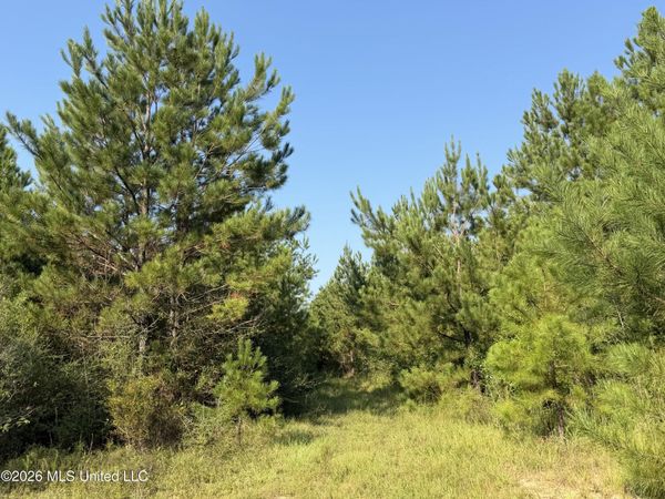156.3 Acres Beesley Road, Lucedale, MS 39452
