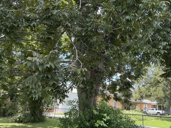 California Ave, Port Allen, LA 70767