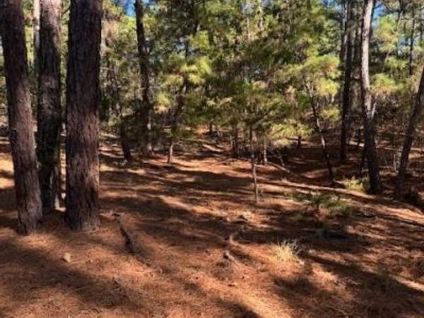 Lot 1395 Kaupa CT , Bastrop, TX 78602