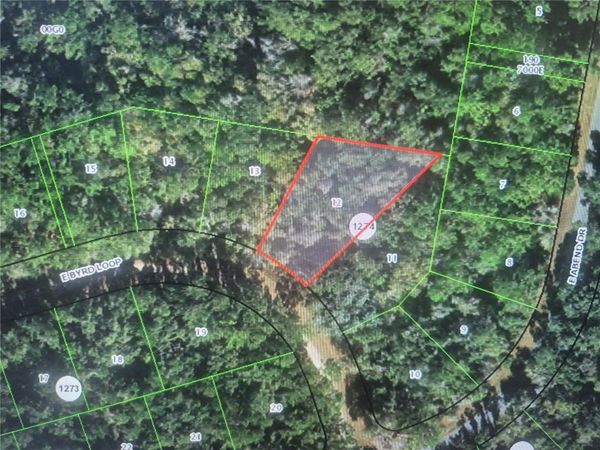 893 E BYRD LOOP , CITRUS SPRINGS, FL 34434