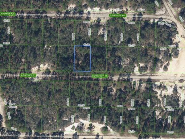 420 Surrender Ct , Lake Placid, FL 33852