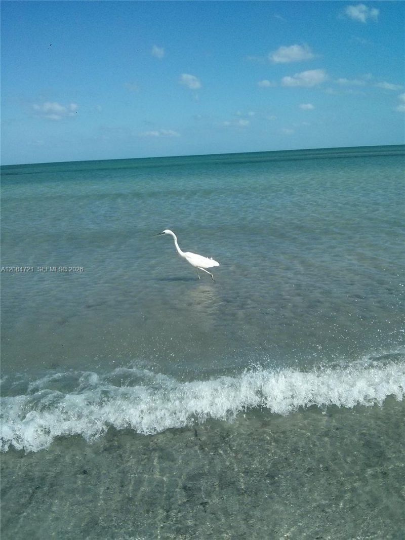 177 Ocean Lane Dr, Unit 412, Key Biscayne, FL 33149 Photo