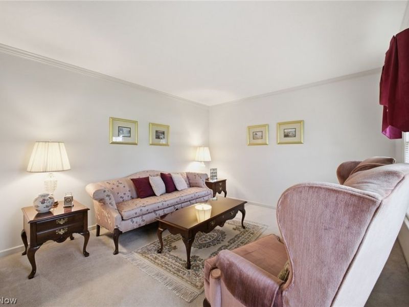 279 Jade Circle, Canfield, OH 44406 Photo 8