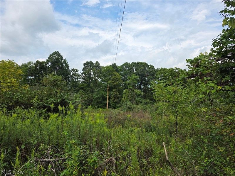 8540 W Tridelphia Road, Malta, OH 43758 Photo 9