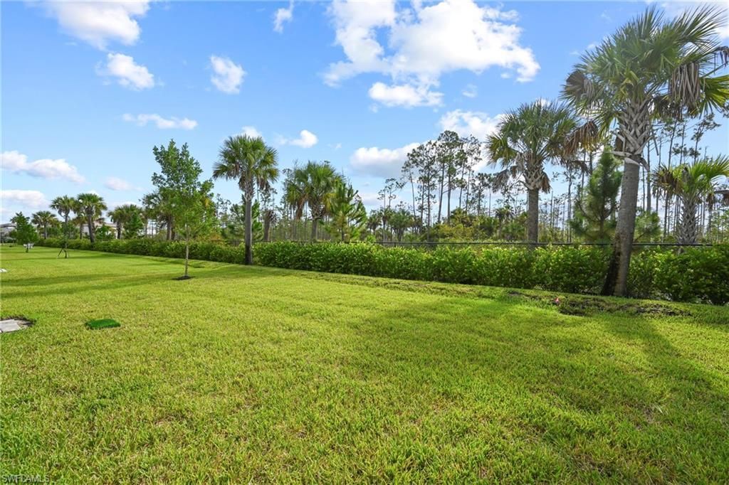 20702 Fair Oak Ln, Estero, FL 33928 Photo