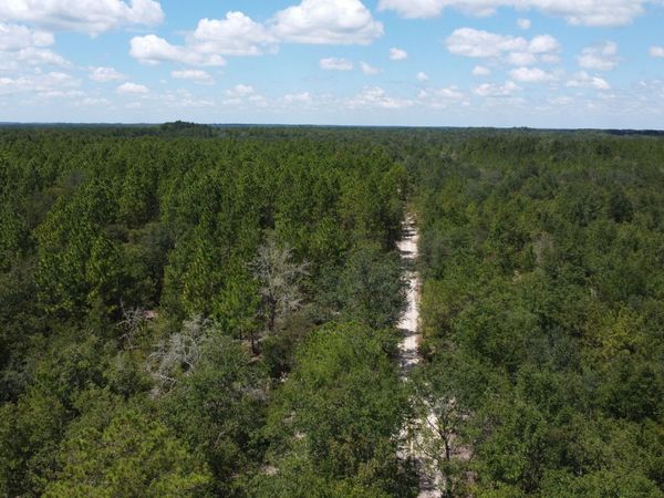LOT 1 Porter Road, Pembroke, GA 31321