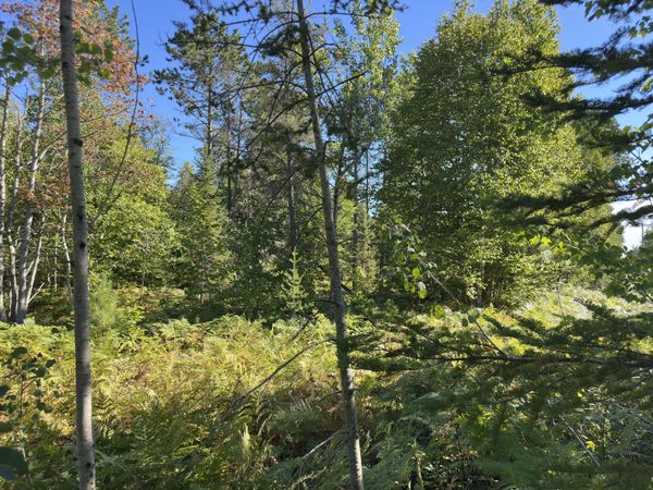15796 N Whitefish Point RD, Paradise, MI 49768
